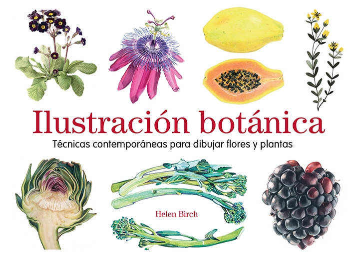 Ilustración botánica